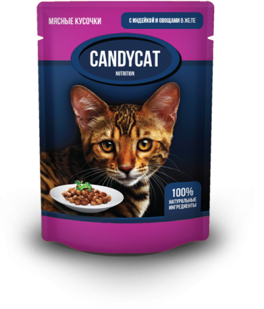 CANDYCAT д/кошек пауч индейка с овощами в желе 85 гр 